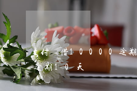 支付寶借10000逾期15天(支付寶借唄逾期10天)