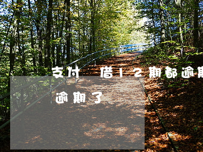 支付寶借12期都逾期了(支付寶借12期都逾期了)