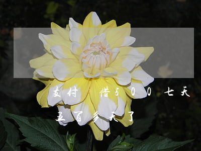 支付寶借500七天還逾期(支付寶借唄逾期五百多天了)