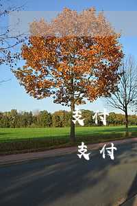 支付寶借5萬(wàn)逾期一天還多少(欠支付寶五萬(wàn)逾期了每個(gè)月還點(diǎn)可以嗎)