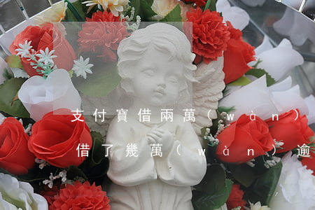 支付寶借兩萬(wàn)逾期一年了(支付寶借了幾萬(wàn)逾期4年)