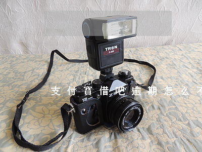 支付寶借吧逾期怎么不催收（支付寶借吧逾期）