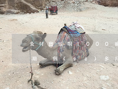 支付寶借唄1000逾期半月(支付寶借唄逾期一個(gè)多月)