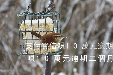 支付寶借唄10萬元逾期二個月-支付寶借唄10萬元逾期二個月會怎樣