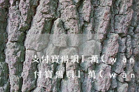 支付寶借唄1萬(wàn)逾期90天-支付寶借唄1萬(wàn)逾期90天利息