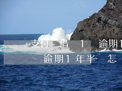 支付寶借唄1萬逾期1年半-支付寶借唄1萬逾期1年半會怎樣
