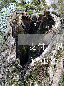 支付寶借唄1萬逾期3年會怎樣，嚴(yán)重警告！支付寶借唄逾期3年，你將面臨這些后果！