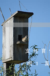 支付寶借唄1萬逾期5天就催了-支付寶借唄1萬逾期5天就催了怎么辦