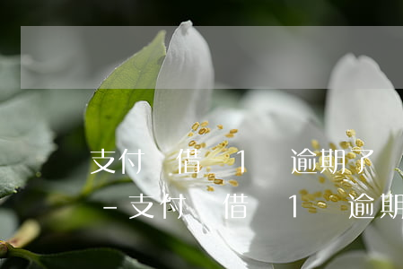 支付寶借唄1萬逾期了會(huì)怎么樣-支付寶借唄1萬逾期了會(huì)怎么樣呢