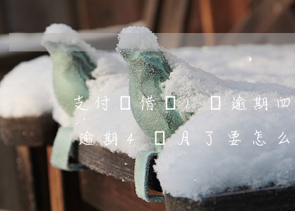 支付寶借唄1萬逾期四個月(支付寶借唄一萬逾期4個月了要怎么協(xié)商)