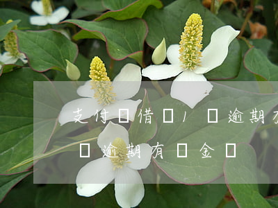 支付寶借唄1萬逾期有罰金-支付寶借唄1萬逾期有罰金嗎