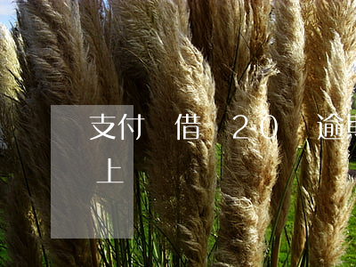 支付寶借唄20萬逾期 借唄20萬逾期還不上
