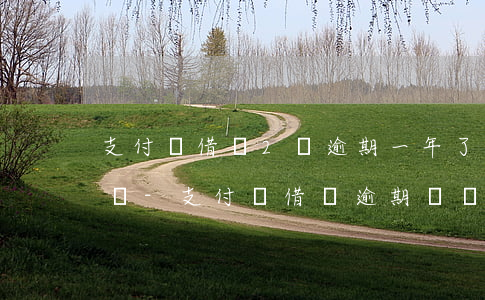 支付寶借唄2萬逾期一年了會(huì)怎樣-支付寶借唄逾期兩萬一年了
