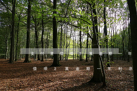支付寶借唄2萬逾期一年利息多少-支付寶借唄2萬逾期一年利息多少錢