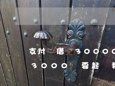 支付寶借唄30000逾期(支付寶借唄逾期3000說要起訴我)