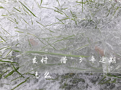 支付寶借唄3年逾期-支付寶借唄3年逾期怎么辦