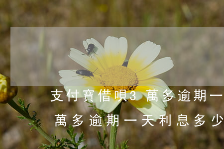 支付寶借唄3萬多逾期一天-支付寶借唄3萬多逾期一天利息多少
