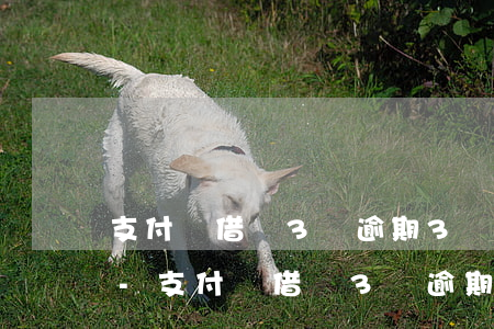 支付寶借唄3萬逾期3個(gè)月還多少-支付寶借唄3萬逾期3個(gè)月還多少利息