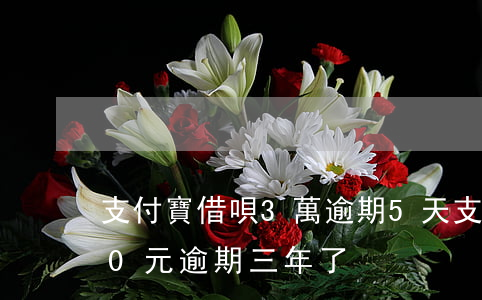 支付寶借唄3萬逾期5天(支付寶借唄3500元逾期三年了)