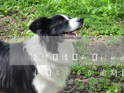支付寶借唄4萬(wàn)多逾期了(支付寶借唄5000逾期兩年)