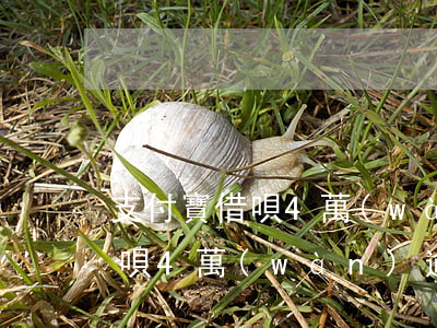 支付寶借唄4萬(wàn)逾期-支付寶借唄4萬(wàn)逾期2年了