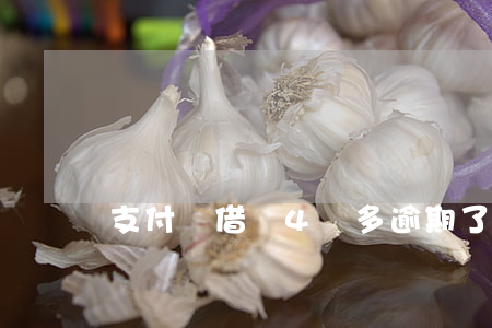 支付寶借唄4萬多逾期了-借唄欠4萬逾期