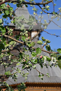 支付寶借唄4萬逾期了利息(借唄欠4萬逾期)