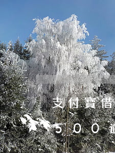 支付寶借唄500逾期快一個月(支付寶借唄500逾期快一個月)