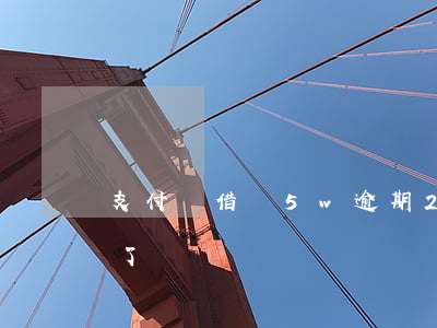 支付寶借唄5w逾期2年(借唄逾期5天后還了)
