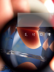 支付寶借唄5w逾期2年貼吧
