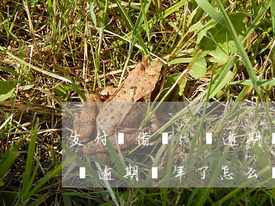 支付寶借唄5萬逾期兩年了-支付寶借唄5萬逾期兩年了怎么辦
