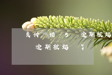 支付寶借唄5萬逾期被起訴-支付寶借唄5萬逾期被起訴了