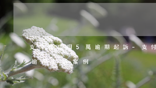 支付寶借唄5萬逾期起訴-支付寶借唄5萬逾期起訴案例