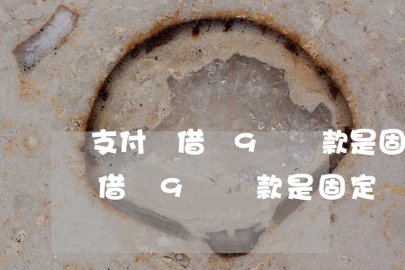 支付寶借唄9號還款是固定幾號的-支付寶借唄9號還款是固定幾號的呢