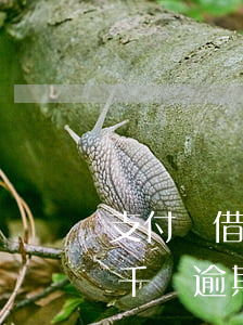支付寶借唄一千塊逾期三年-支付寶借唄一千塊逾期三年了