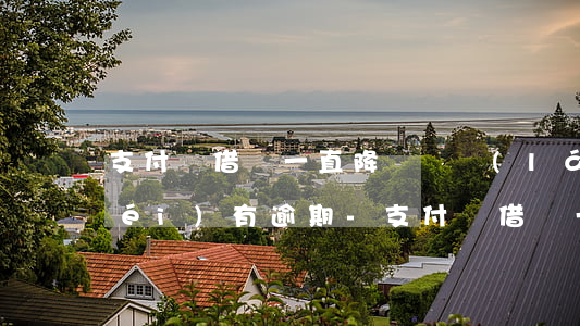 支付寶借唄一直降額從來(lái)沒(méi)有逾期-支付寶借唄一直降額從來(lái)沒(méi)有逾期過(guò)