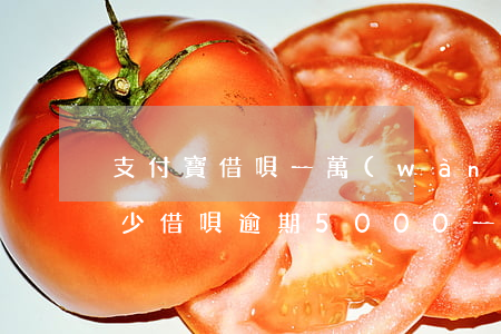 支付寶借唄一萬(wàn)元逾期利息是多少(借唄逾期5000一個(gè)月利息是多少)