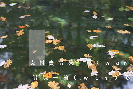 支付寶借唄一萬(wàn)多逾期-支付寶借唄一萬(wàn)多逾期一年