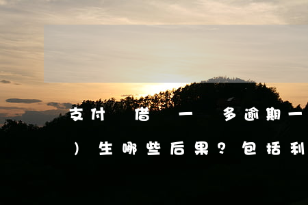 支付寶借唄一萬多逾期一年會產(chǎn)生哪些后果？包括利息多少？