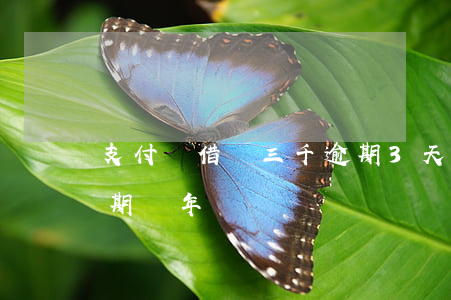 支付寶借唄三千逾期3天(支付寶借唄三千逾期兩年)