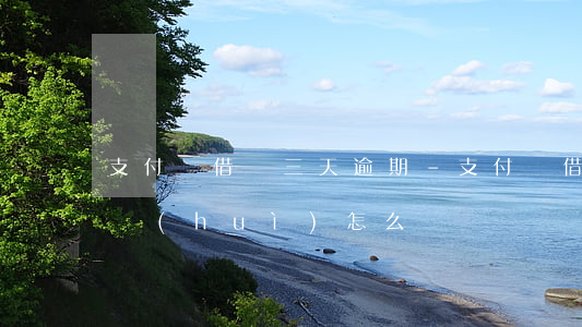 支付寶借唄三天逾期-支付寶借唄三天逾期會(huì)怎么樣