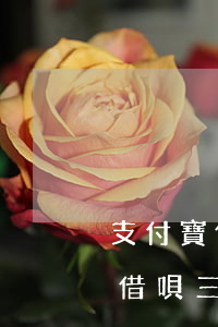支付寶借唄三萬(wàn)逾期(我支付寶的借唄三萬(wàn)逾期快兩年)