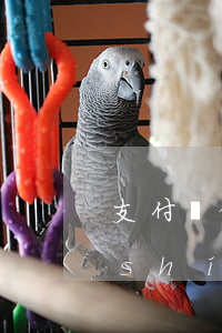 支付寶借唄下午還款算逾期嗎 借唄什么時(shí)候還算逾期