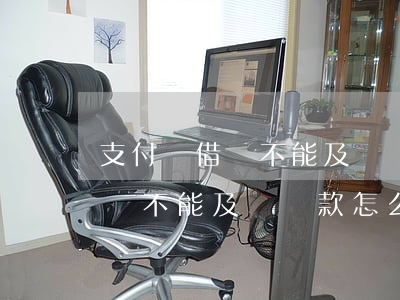 支付寶借唄不能及時還款怎么辦-支付寶借唄不能及時還款怎么辦呢
