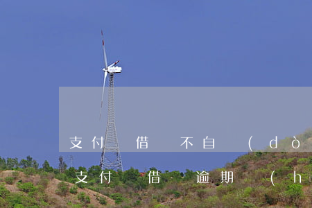 支付寶借唄不自動(dòng)扣款逾期了(支付寶借唄逾期會(huì)自動(dòng)扣款嗎)
