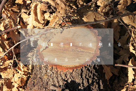 支付寶借唄不逾期是否上征信(支付寶借唄不逾期是否上征信)