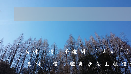支付寶借唄不逾期會(huì)上征信嗎-支付寶借唄逾期多久上征信?借唄逾期