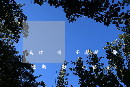 支付寶借唄不逾期會影響征信嗎-螞蟻借唄逾期會影響征信嗎