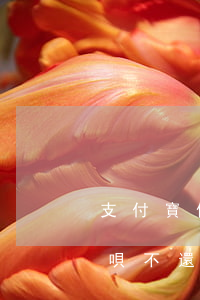 支付寶借唄不還款會有什么影響-支付寶借唄不還款會有什么影響嗎