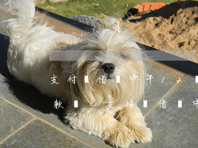 支付寶借唄中午12點(diǎn)之前還款嗎-支付寶借唄中午12點(diǎn)之前還款嗎可以嗎